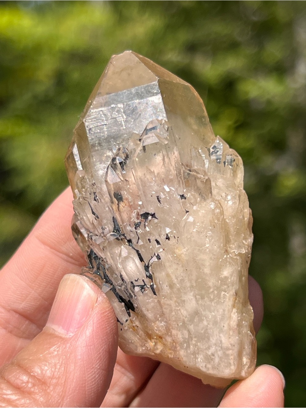 Kundalini (1) citrine point | Crystal